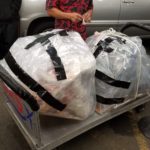 Saam Fu Hilo Chinese New Year Lion Dance