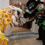 Prince Kuhio Plaza Chinese New Year Lion Dance