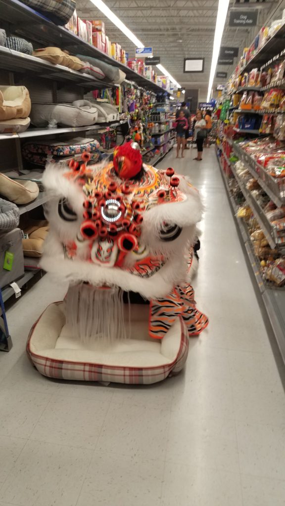 Hawaii Lion Dance | Saam Fu