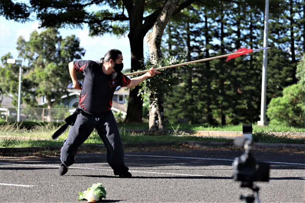 Hawaii Kung Fu | Saam Fu