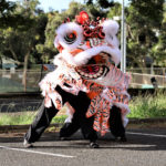 Lion Dance Hawaii | Saam Fu