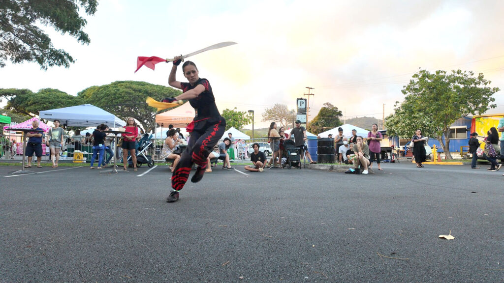 Kung Fu Classes Hawaii