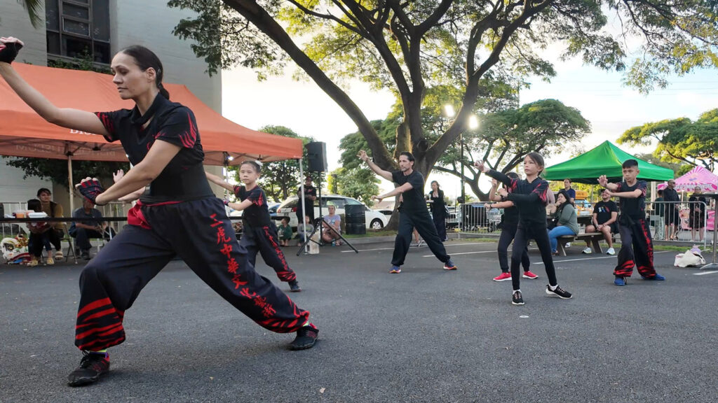 Kids Kung Fu Lessons