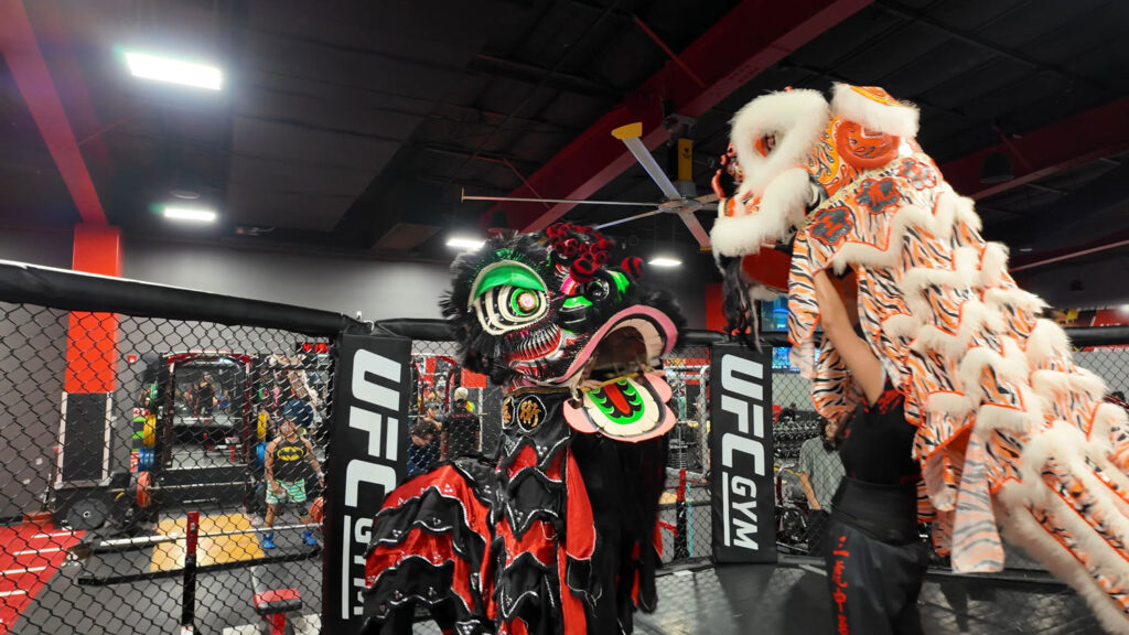 Chinese New Year Lion Dance Hilo Hawaii