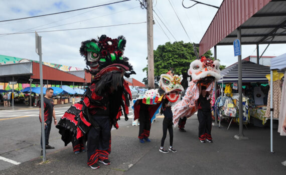 Lunar New Year Lion Dance Hilo Farmer's Market