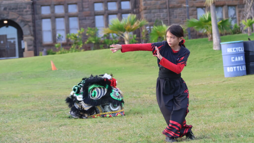 Kung Fu Lessons for Kids Hawaii