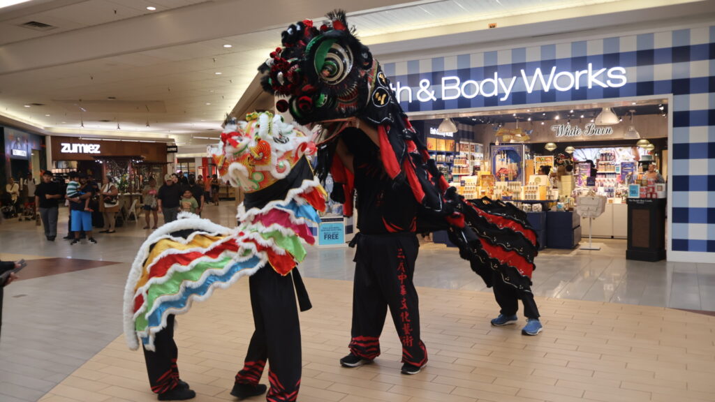 Chinese New Year Big Island Hawaii Lion Dance