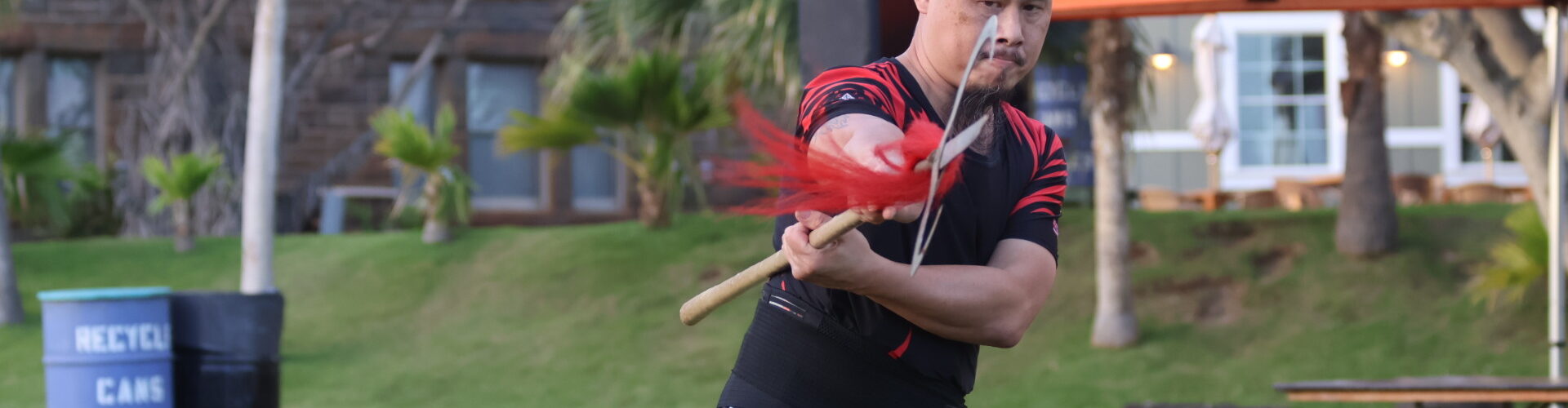 Kung Fu lessons Honolulu Hawaii