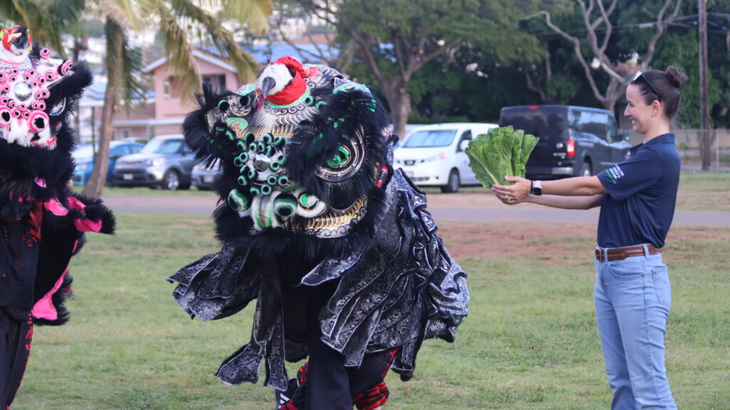 Chinese New Year Honolulu Hawaii Lion Dance