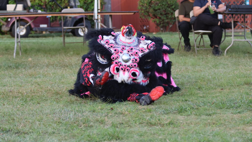 Chinese New Year Hawaii kids lion dance lessons