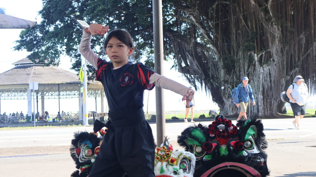 Kids kung fu lessons Hawaii