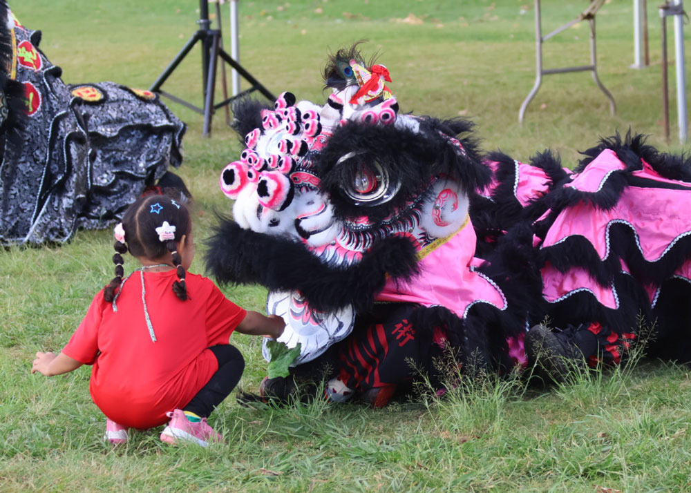 Chinese New Year Hawaii 2026 Saam Fu Lion Dance