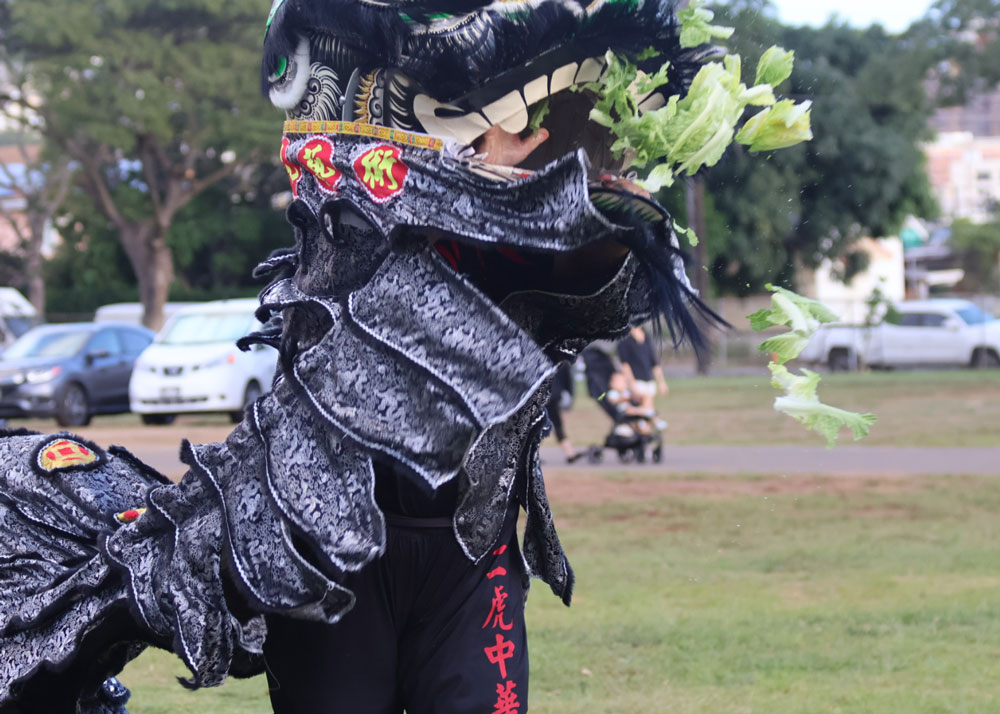 Chinese New Year Hawaii 2026 Saam Fu Lion Dance