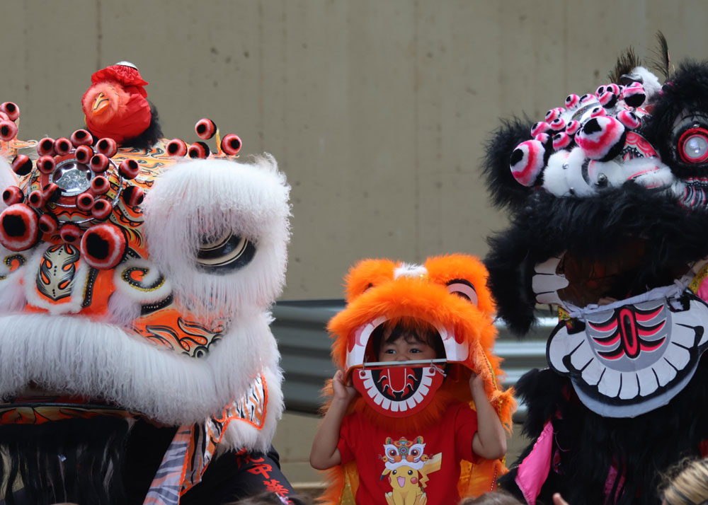 Chinese New Year Hawaii 2026 Saam Fu Lion Dance