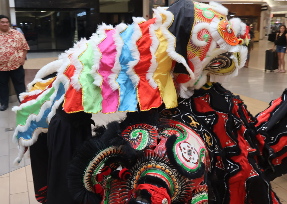 Lion Dance Chinese New Year 2026 Hilo the Year of the Horse