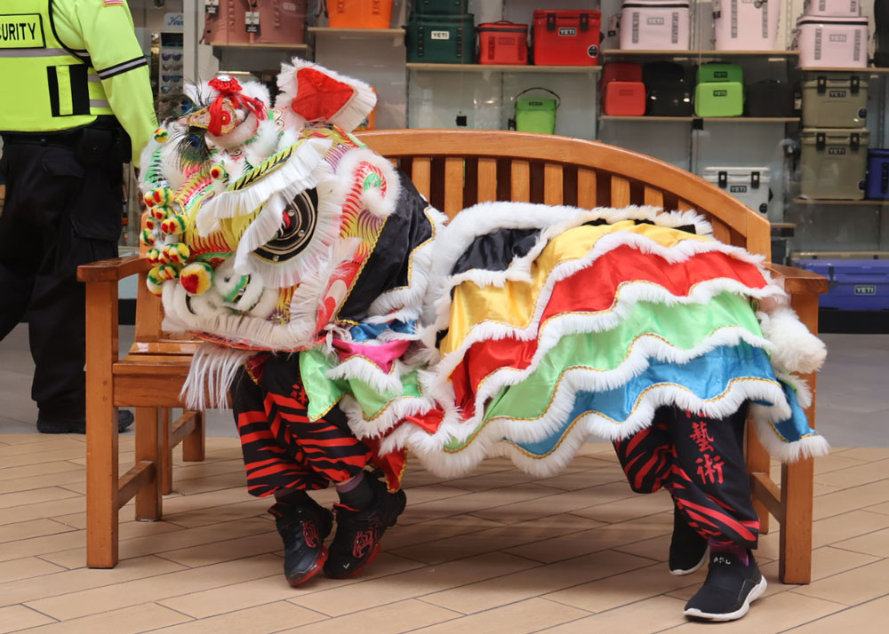 Lion Dance Chinese New Year 2026 Hilo the Year of the Horse