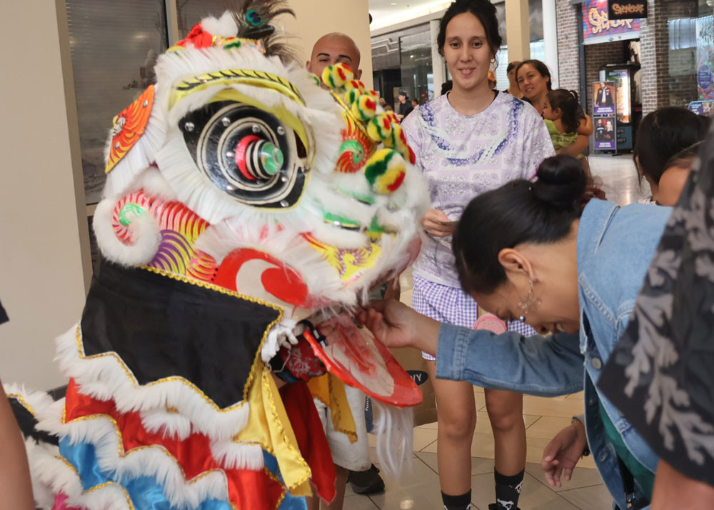 Lion Dance Chinese New Year 2026 Hilo the Year of the Horse