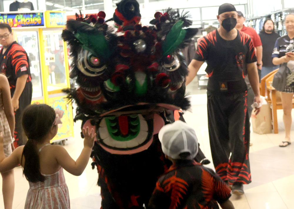 Lion Dance Chinese New Year 2026 Hilo the Year of the Horse