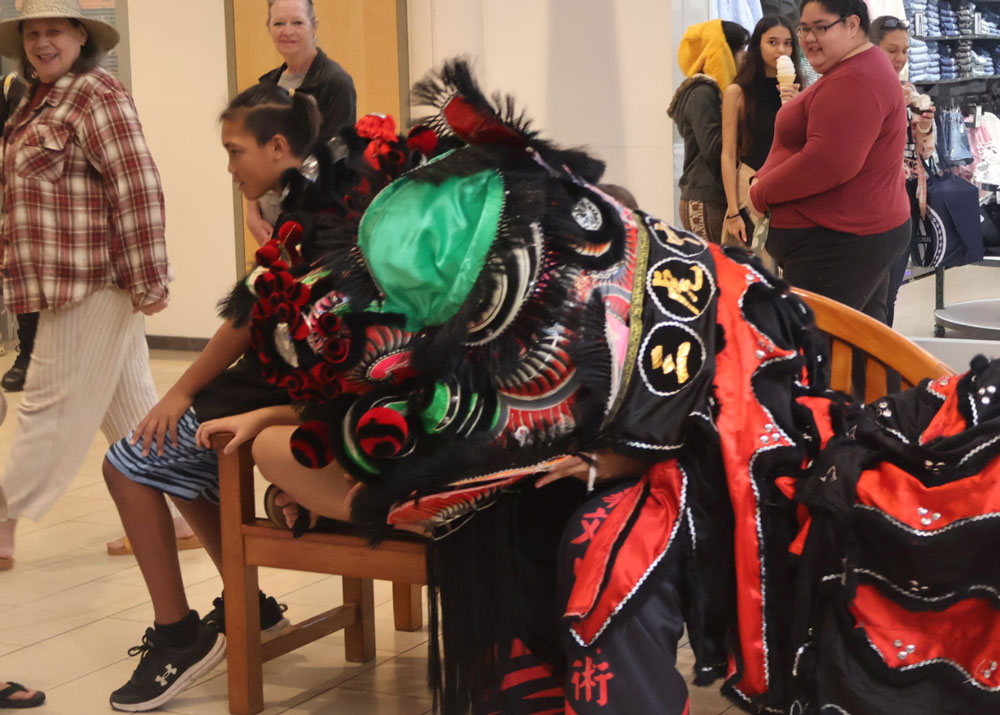 Lion Dance Chinese New Year 2026 Hilo the Year of the Horse