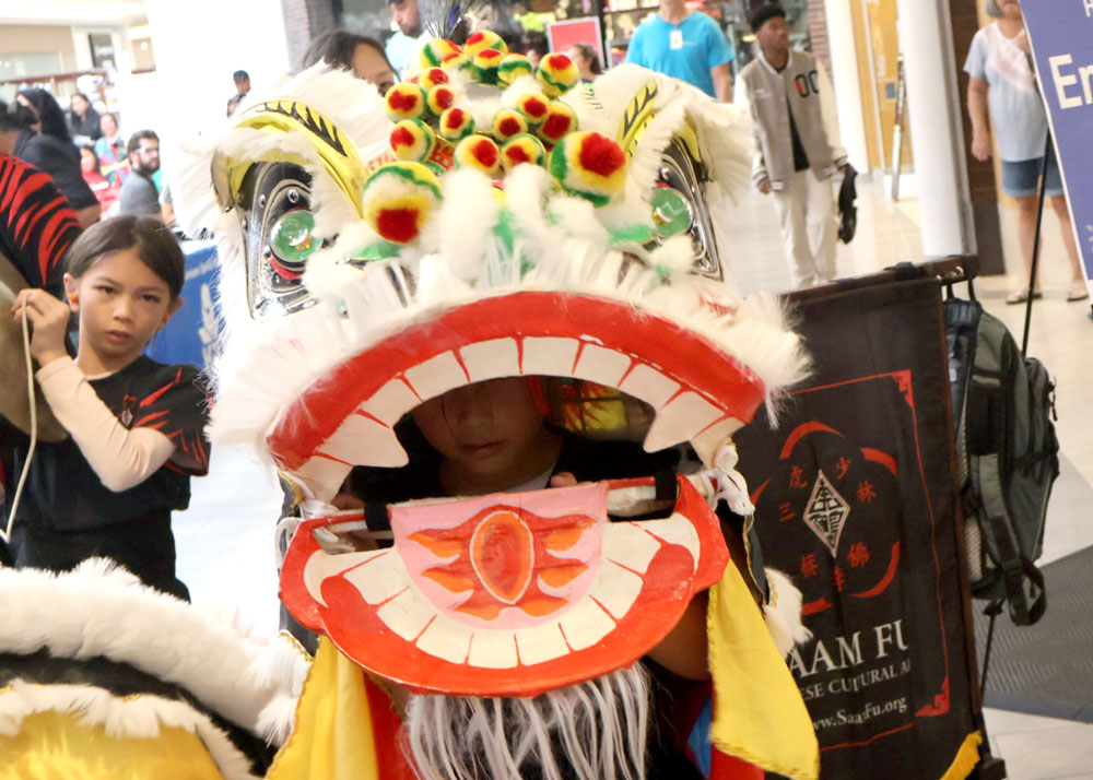 Lion Dance Chinese New Year 2026 Hilo the Year of the Horse