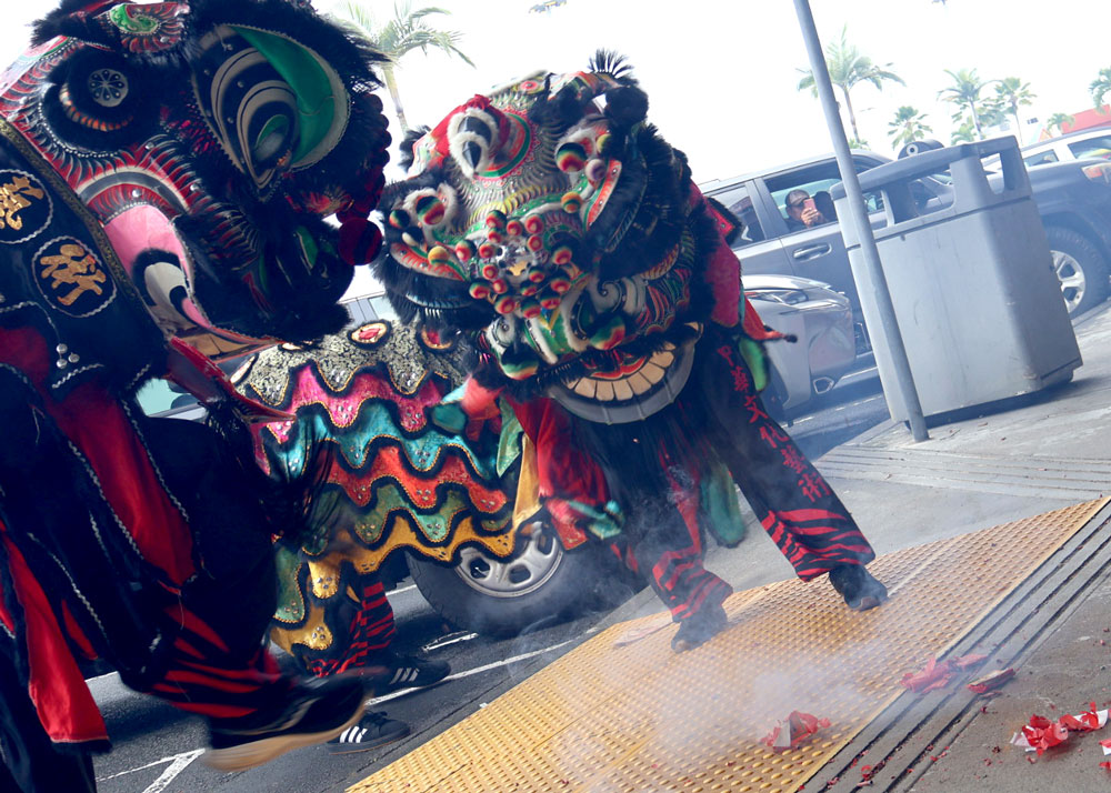 Lion Dance Chinese New Year 2026 Hilo the Year of the Horse