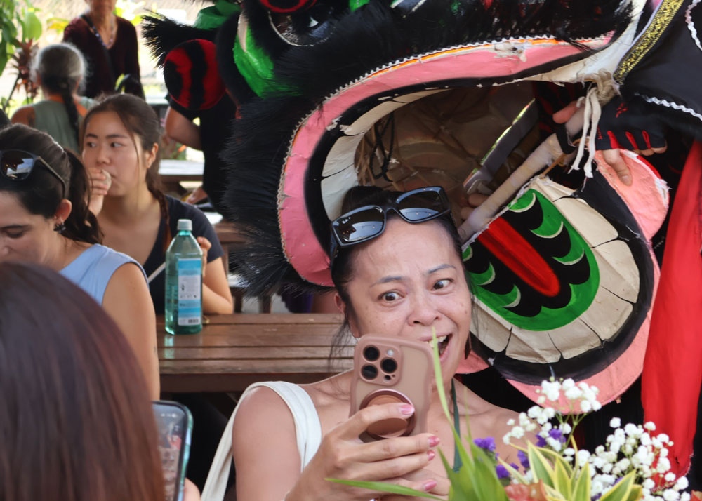 Lion Dance Chinese New Year 2026 Hilo the Year of the Horse