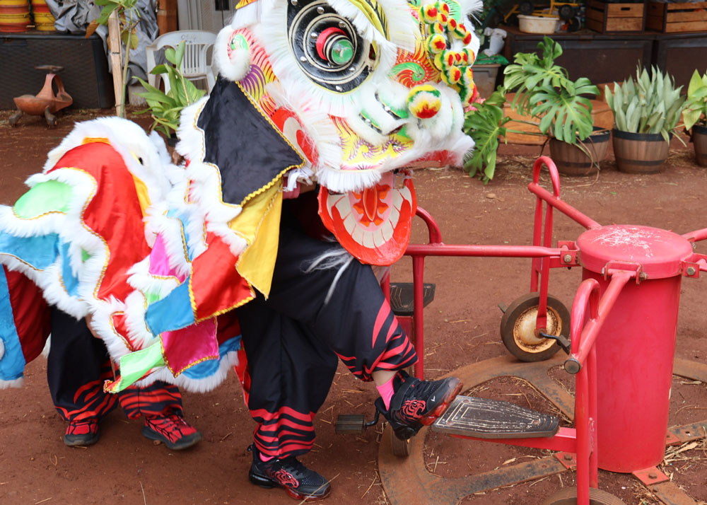 Chinese New Year 2026 Lion Dance Kauai Montessori Project