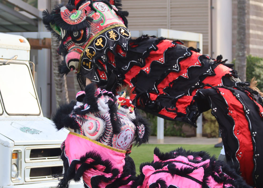 Year of the Horse Lion Dance Hawaii