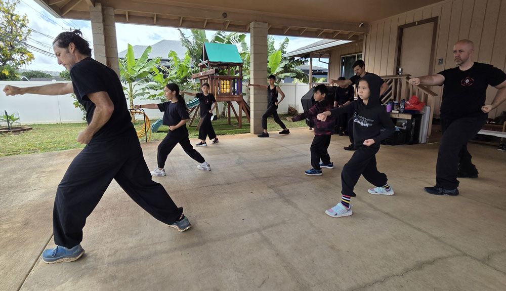 Hawaii Kung Fu lessons